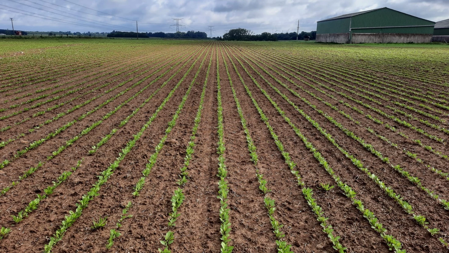 Agriculture de précision